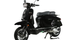 Royal Alloy Grand Prix 300 aka GP300